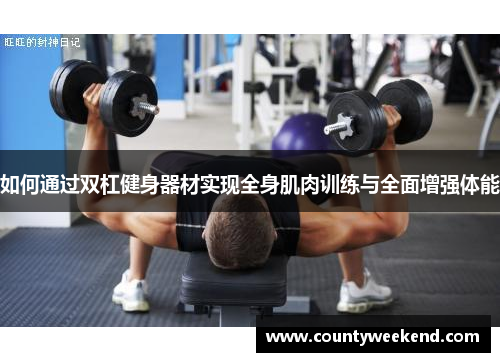 如何通过双杠健身器材实现全身肌肉训练与全面增强体能
