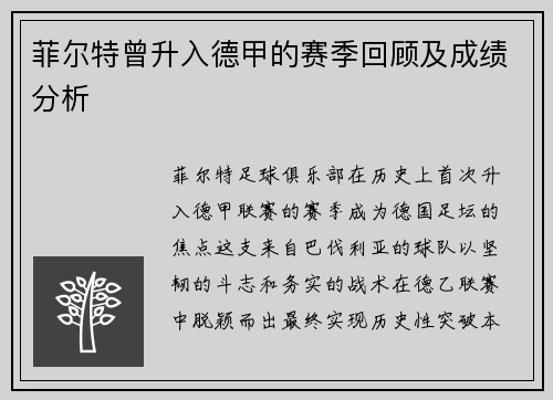 菲尔特曾升入德甲的赛季回顾及成绩分析